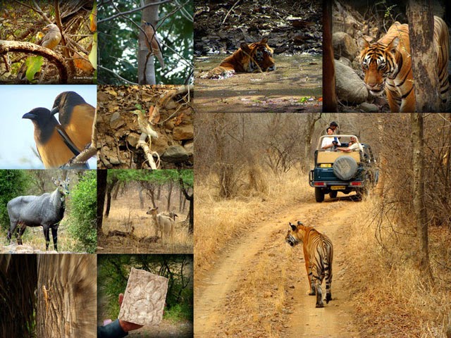 Rajasthan